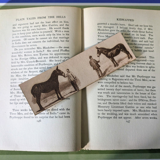 A leather bookmark with the art of mules engraved on it.
