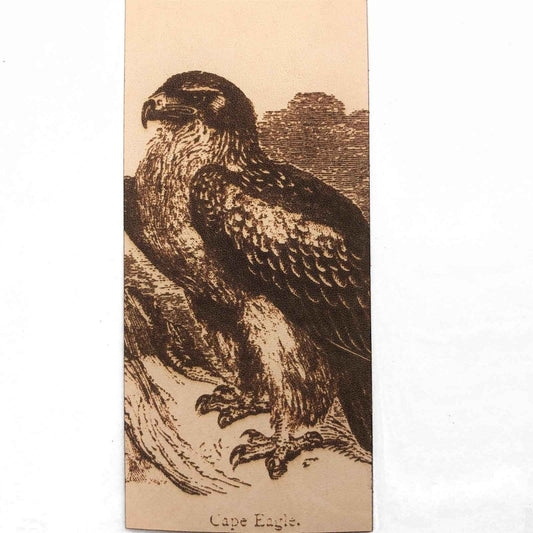 A leather bookmark engraved with the historical art of a cape eagle on it.
