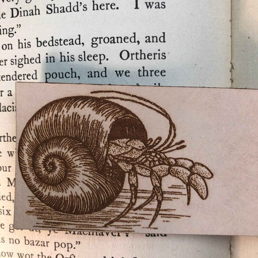 A leather bookmark engraved with the antique art of hermit crabs.