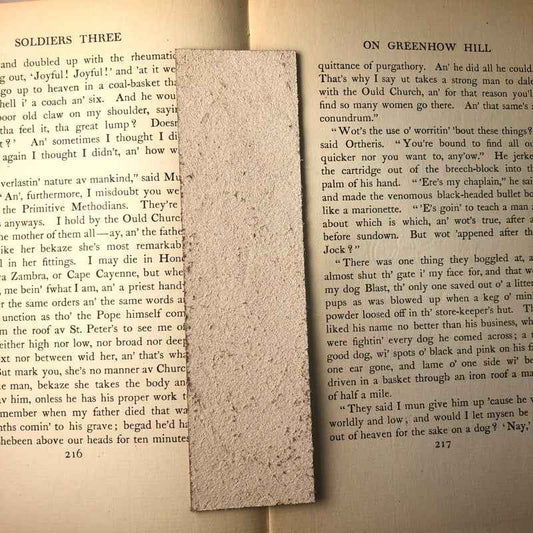 The back of the leather bookmark is unfinished.