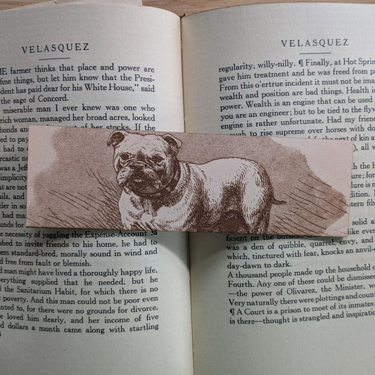 A rectangular leather bookmark with the historical art of a bulldog engraved on it. The bookmark is resting on the pages of an open book. Leather Bulldog Dog Bookmark Bookmarks Raven King Crafts