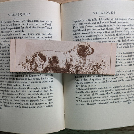 A rectangular leather bookmark with the historical art of a Clumber Spaniel dog engraved on it. The bookmark is resting on the pages of an open book. Leather Clumber Spaniel Dog Bookmark Bookmarks Raven King Crafts