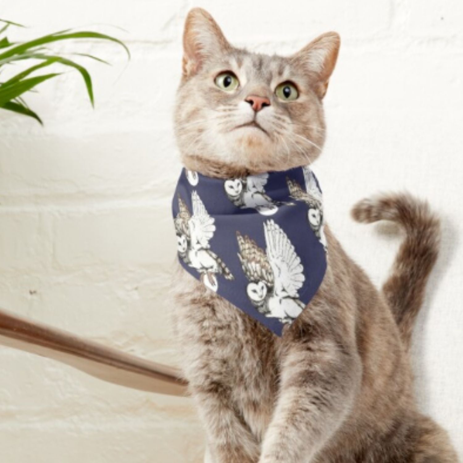 A cat wearing a cute bandana with an owl on it. 