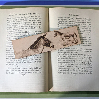 A leather bookmark with the art of a Tibetan wild donkey on it.
