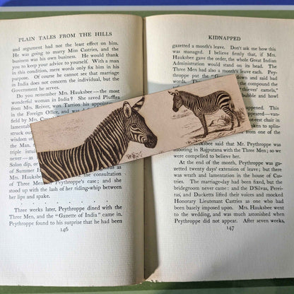 A leather bookmark engraved with the art of a mountain zebra on it.