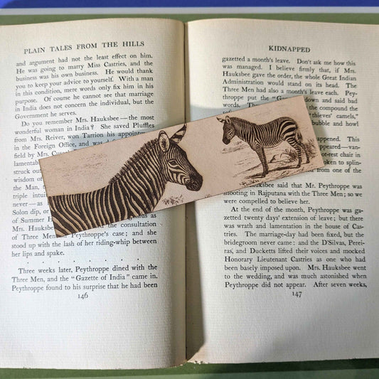 A leather bookmark engraved with the art of a mountain zebra on it.