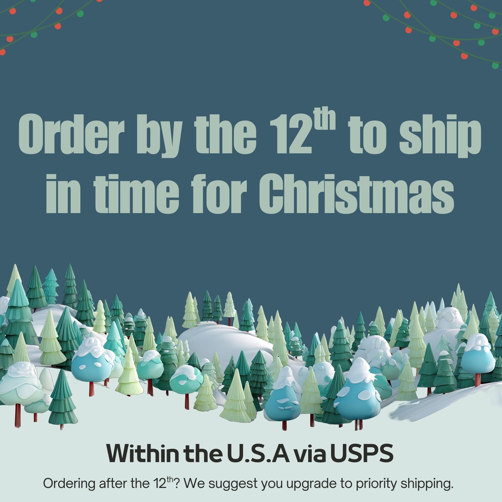 Order by the 12th in order to ship in time for Christmas.