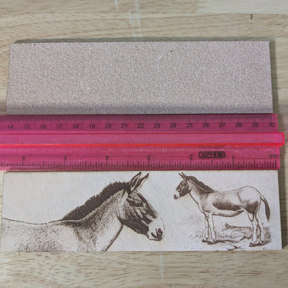 Tibetan wild donkey bookmark next to a ruler.