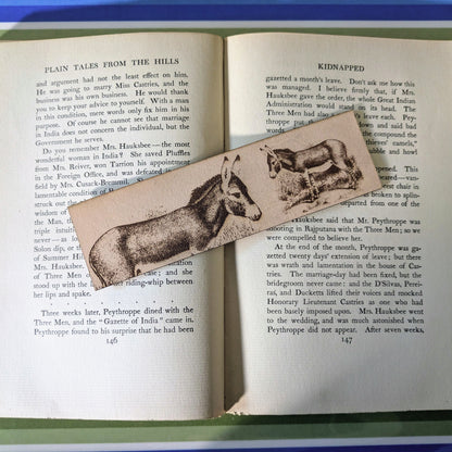 The leather bookmark with the art of a wild donkey engraved on it resting on the pages of an open book. 