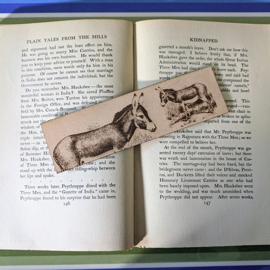 The leather bookmark with the art of a wild donkey engraved on it resting on the pages of an open book. 