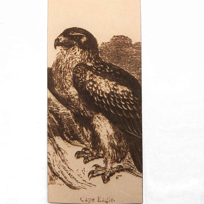A leather bookmark engraved with the historical art of a cape eagle on it. Cape Eagle Bookmark - Leather Bookmarks Raven King Crafts