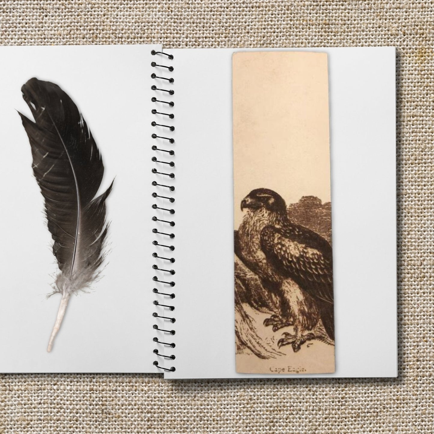 A leather bookmark with the historical art of a cape eagle engraved on it. The bookmark is on a sketch book.