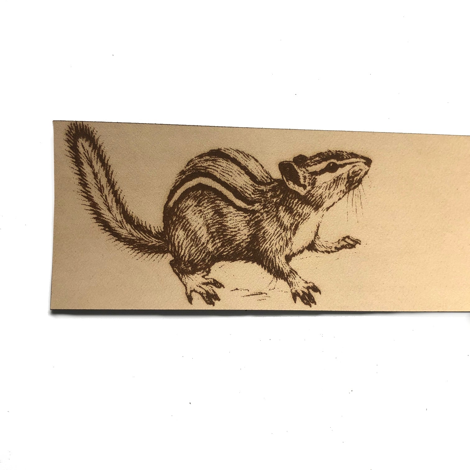 Chipmunk Bookmark