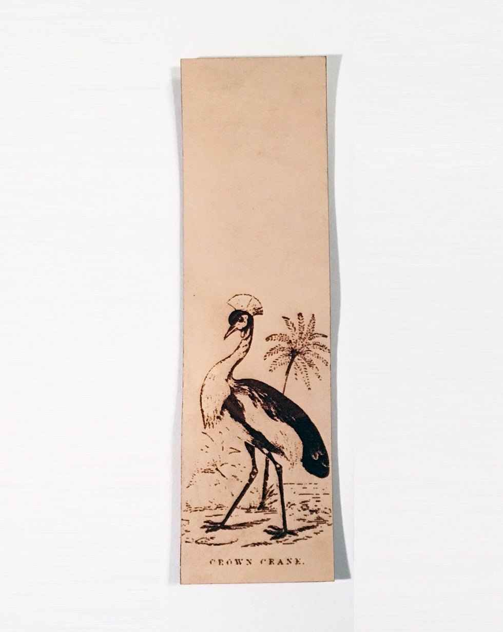 A leather bookmark engraved with the antique art of a crowned crane on it. Crowned Crane Bookmark Bookmarks Raven King Crafts