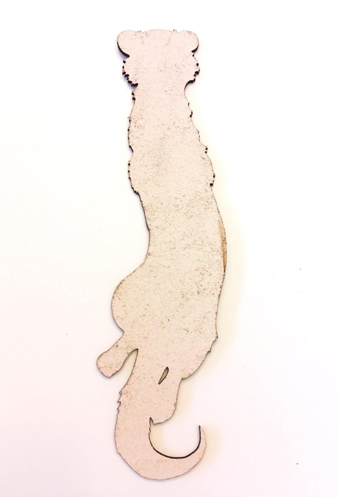 the back of the ferret bookmark