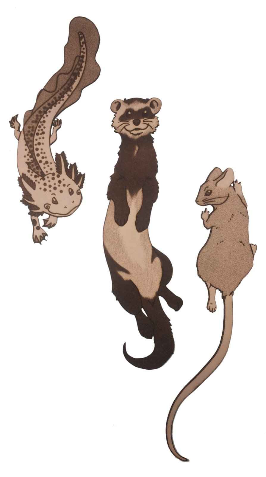 Ferret Bookmark Made From Hand Selected Leather Ferret Bookmark Made From Hand Selected Leather Bookmarks Raven King Crafts