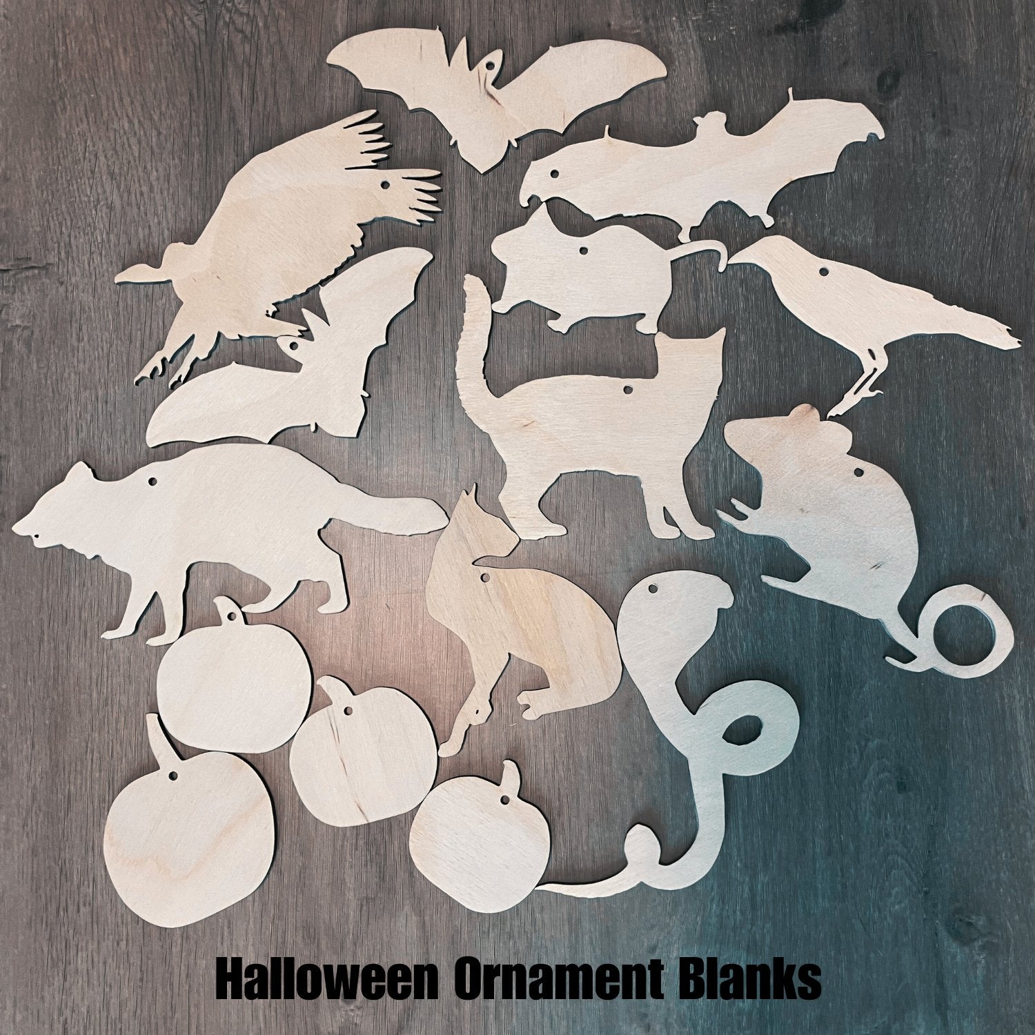 A photograph of the Halloween themed ornament blanks. There are bats, a mouse, a rat, a crow, cats, a cobra , vulture, raccoon and pumpkins. Halloween Ornament Kit Art & Craft Kits Raven King Crafts