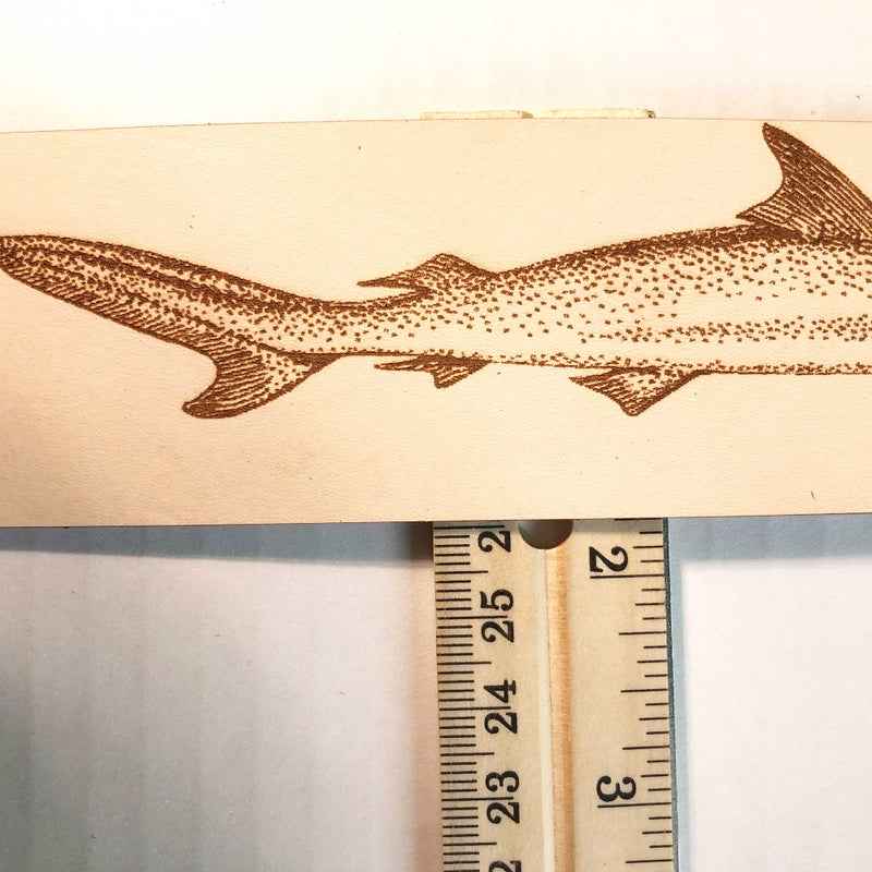 Hammerhead Shark Bookmark Hammerhead Shark Bookmark Bookmarks Raven King Crafts