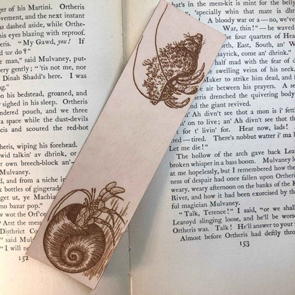 A leather bookmark engraved with the antique art of hermit crabs. Hermit Crabs Bookmark Bookmarks Raven King Crafts