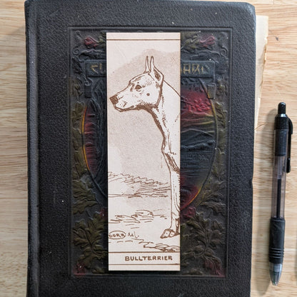 A rectangular leather bookmark with the historical art of a bull terrier dog engraved on it. Leather Bull Terrier Dog Bookmark Bookmarks Raven King Crafts Leather Bull Terrier Dog Bookmark Bookmarks Raven King Crafts
