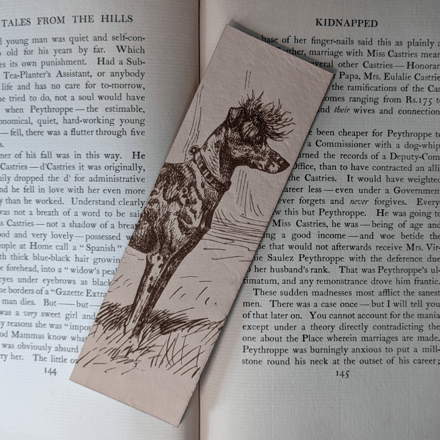 A rectangular leather bookmark with the historical art of a Chinese Crested dog engraved on it. The bookmark is resting on the pages of an open book. Leather Chinese Crested Dog Bookmark Bookmarks Raven King Crafts Leather Chinese Crested Dog Bookmark Bookmarks Raven King Crafts