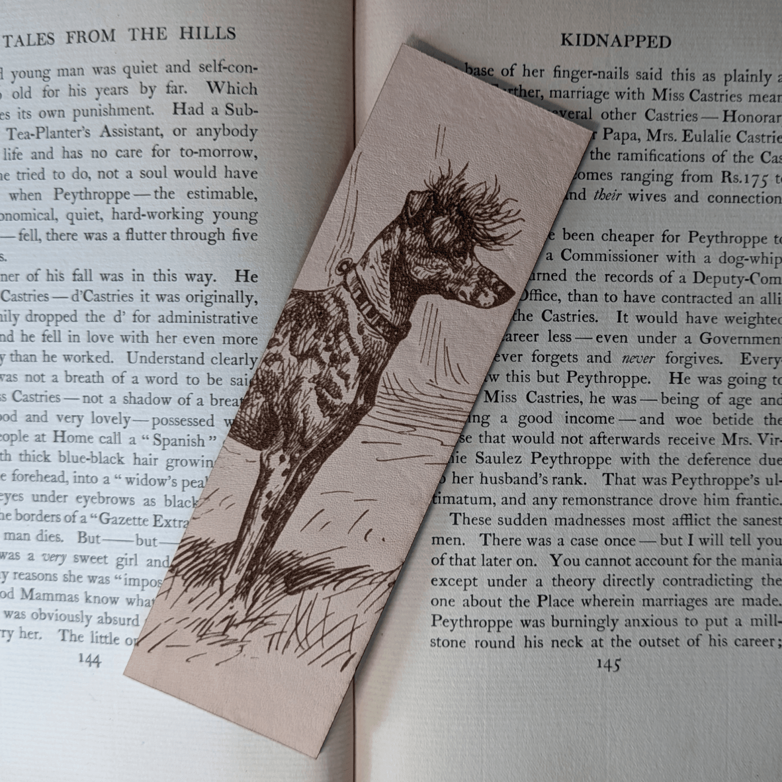 A rectangular leather bookmark with the historical art of a Chinese Crested dog engraved on it. The bookmark is resting on the pages of an open book. Leather Chinese Crested Dog Bookmark Bookmarks Raven King Crafts Leather Chinese Crested Dog Bookmark Bookmarks Raven King Crafts