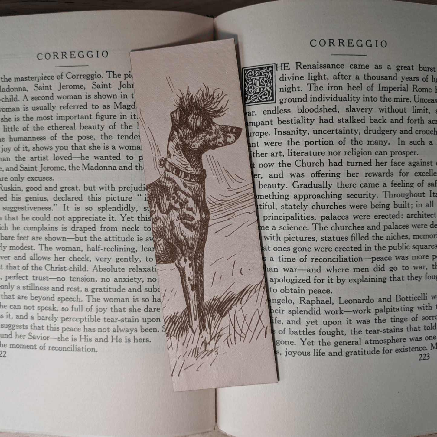 A rectangular leather bookmark with the historical art of an Chinese Crested dog engraved on it. The bookmark is resting on the pages of an open book. Leather Chinese Crested Dog Bookmark Bookmarks Raven King Crafts Leather Chinese Crested Dog Bookmark Bookmarks Raven King Crafts