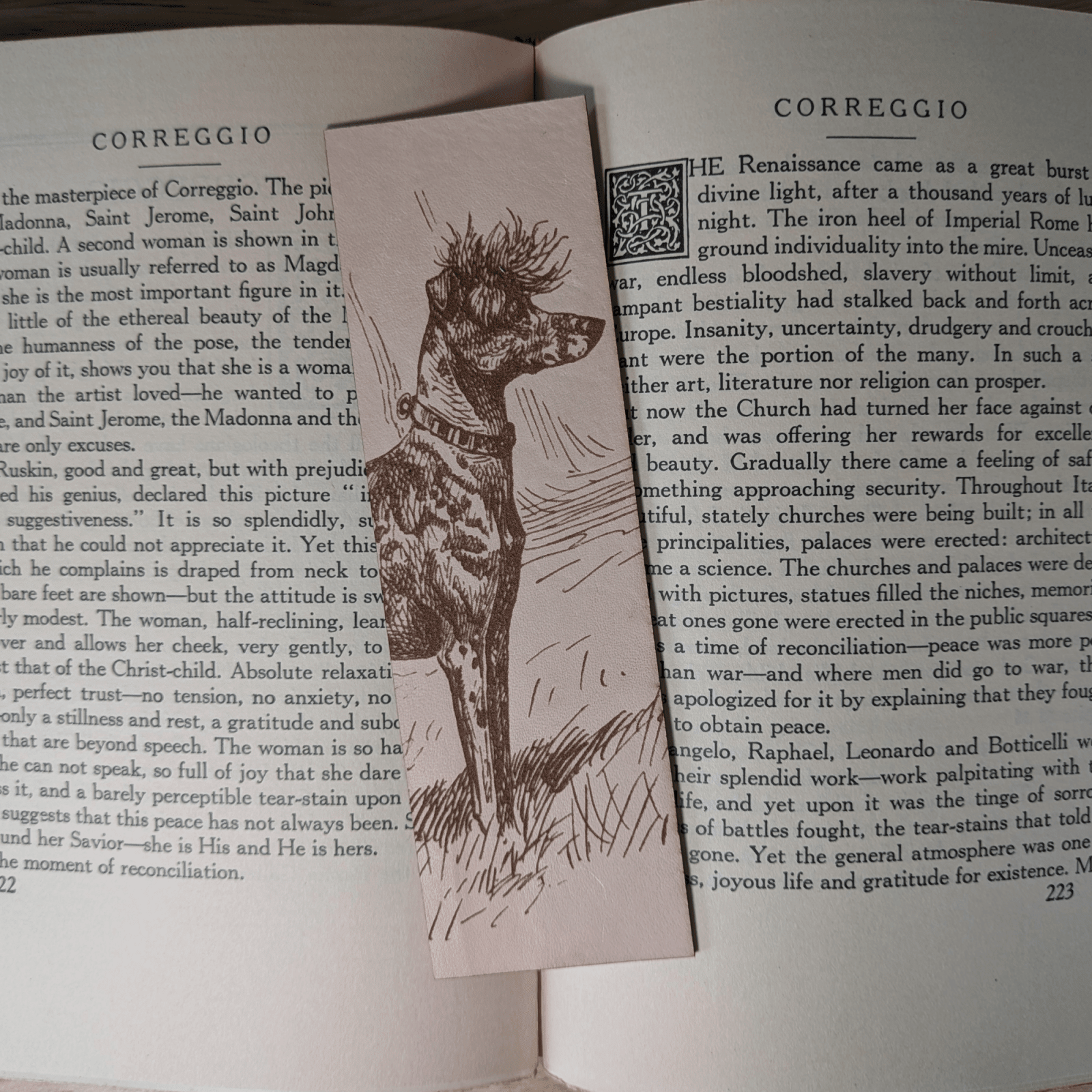 A rectangular leather bookmark with the historical art of an Chinese Crested dog engraved on it. The bookmark is resting on the pages of an open book. Leather Chinese Crested Dog Bookmark Bookmarks Raven King Crafts Leather Chinese Crested Dog Bookmark Bookmarks Raven King Crafts