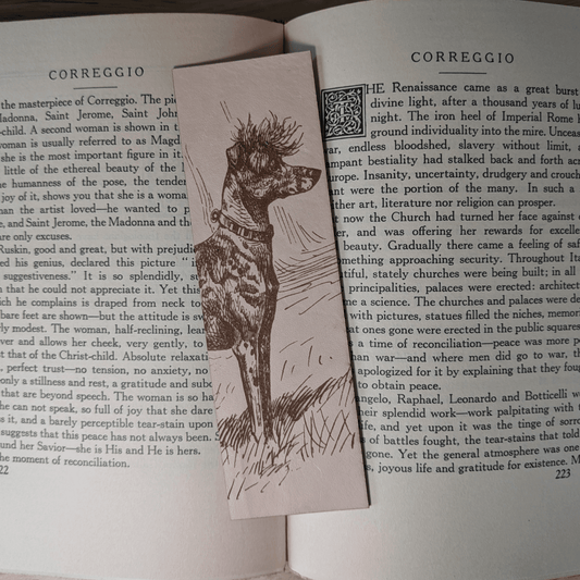 A rectangular leather bookmark with the historical art of an Chinese Crested dog engraved on it. The bookmark is resting on the pages of an open book. Leather Chinese Crested Dog Bookmark Bookmarks Raven King Crafts Leather Chinese Crested Dog Bookmark Bookmarks Raven King Crafts