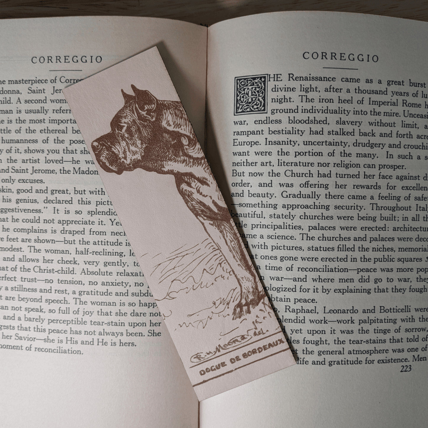 A rectangular leather bookmark with the historical art of a Dogue De Bordeaux engraved on it. The bookmark is resting on the pages of an open book. Leather Dogue De Bordeaux Bookmark Bookmarks Raven King Crafts Leather Dogue De Bordeaux Bookmark Bookmarks Raven King Crafts