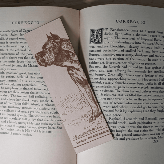 A rectangular leather bookmark with the historical art of a Dogue De Bordeaux engraved on it. The bookmark is resting on the pages of an open book. Leather Dogue De Bordeaux Bookmark Bookmarks Raven King Crafts Leather Dogue De Bordeaux Bookmark Bookmarks Raven King Crafts