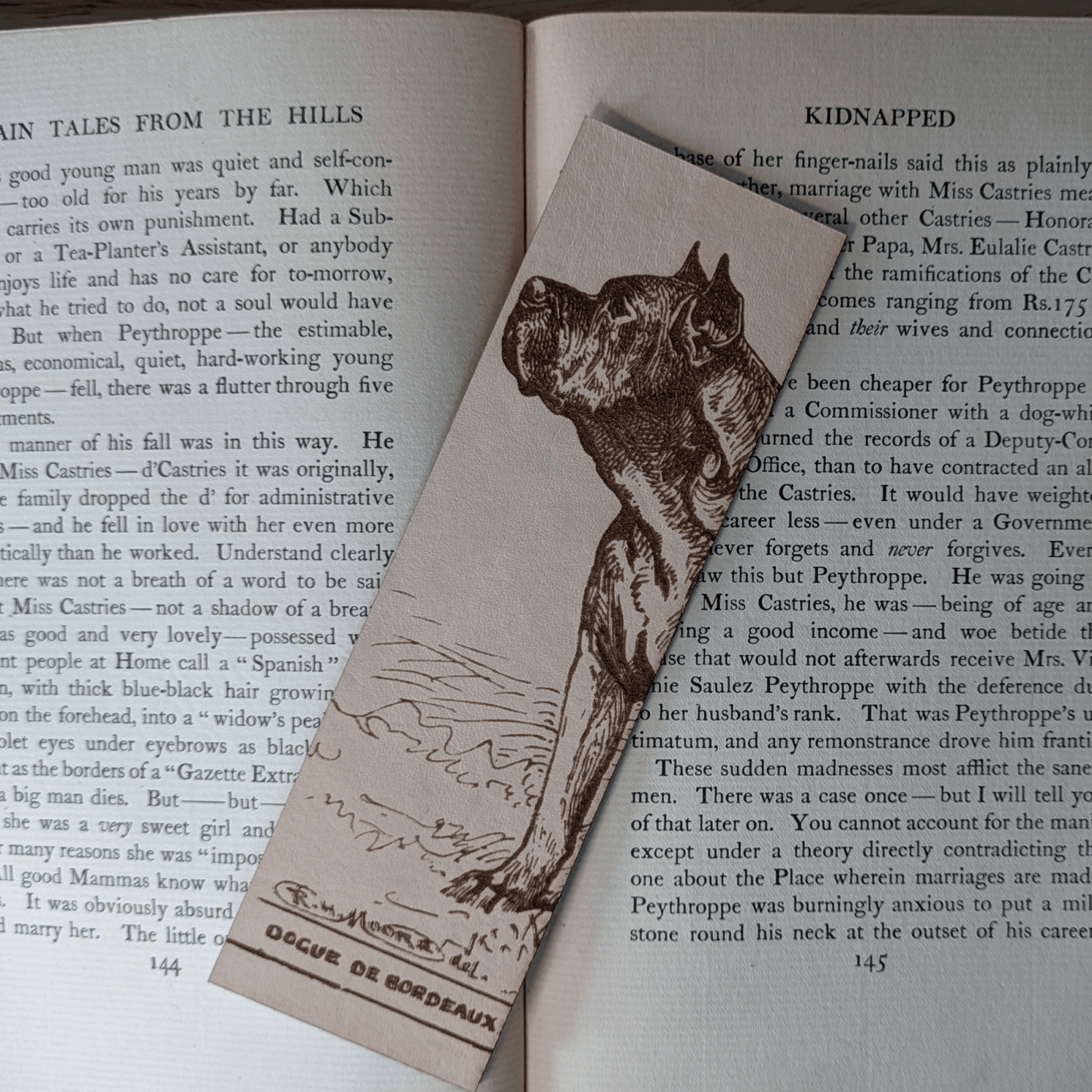 A rectangular leather bookmark with the historical art of a French Mastiff dog engraved on it. The bookmark is resting on the pages of an open book. Leather Dogue De Bordeaux Bookmark Bookmarks Raven King Crafts Leather Dogue De Bordeaux Bookmark Bookmarks Raven King Crafts
