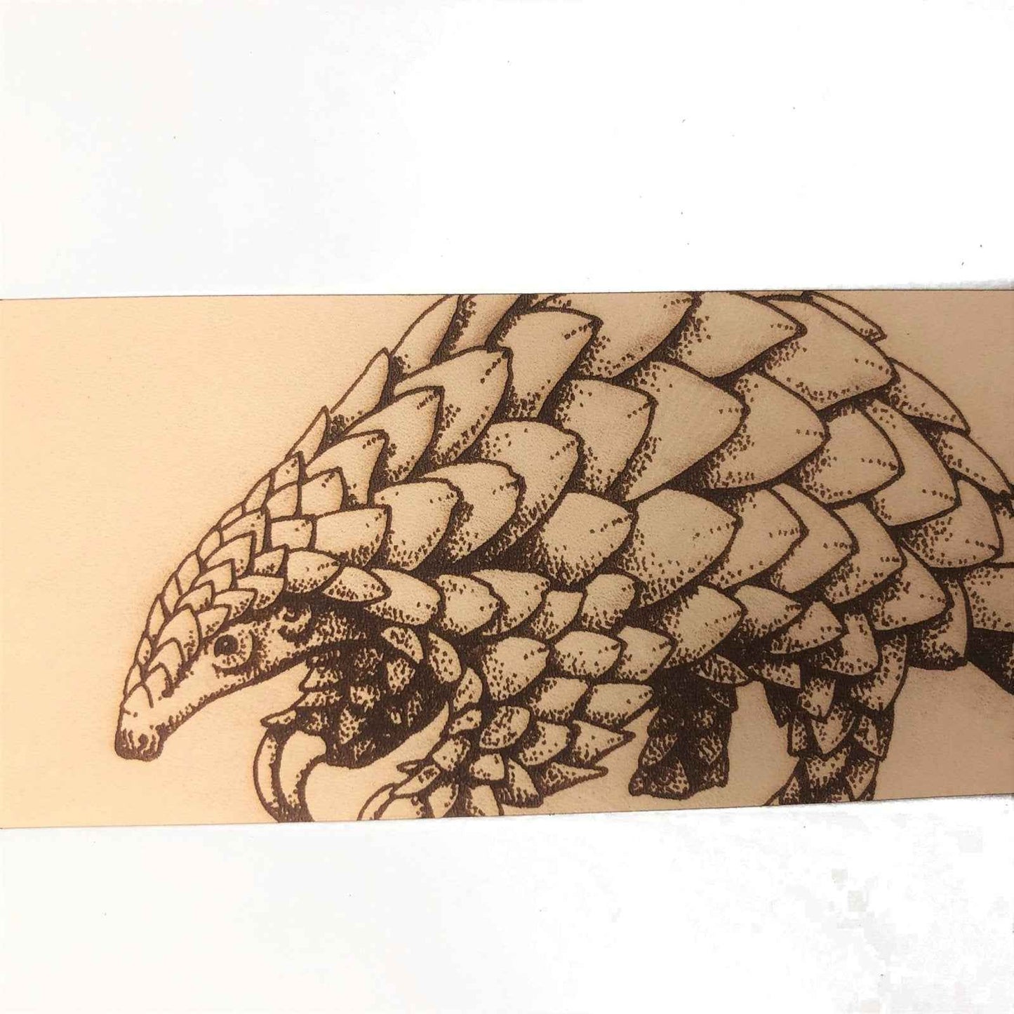 This leather bookmark is engraved with the liscened art of a pangolin on it. Leather Pangolin Bookmark Bookmarks Raven King Crafts
