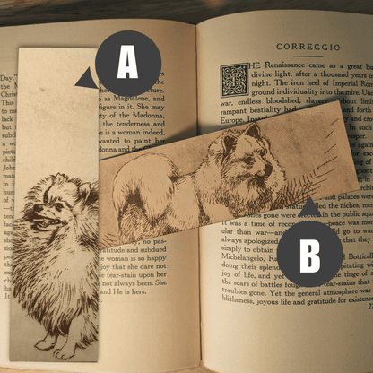 Pick which Pomeranian dog bookmark you want, or get both for a discount. Leather Pomeranian Bookmark Bookmarks Raven King Crafts Leather Pomeranian Bookmark Bookmarks Raven King Crafts