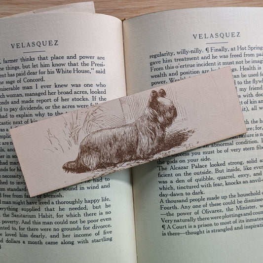 A rectangular leather bookmark with the historical art of a Skye terrier dog engraved on it. The bookmark is resting on the pages of an open book. Leather Skye Terrier Bookmark (toy dog) - Pick one or get both! Bookmarks Raven King Crafts Leather Skye Terrier Bookmark (toy dog) - Pick one or get both! Bookmarks Raven King Crafts