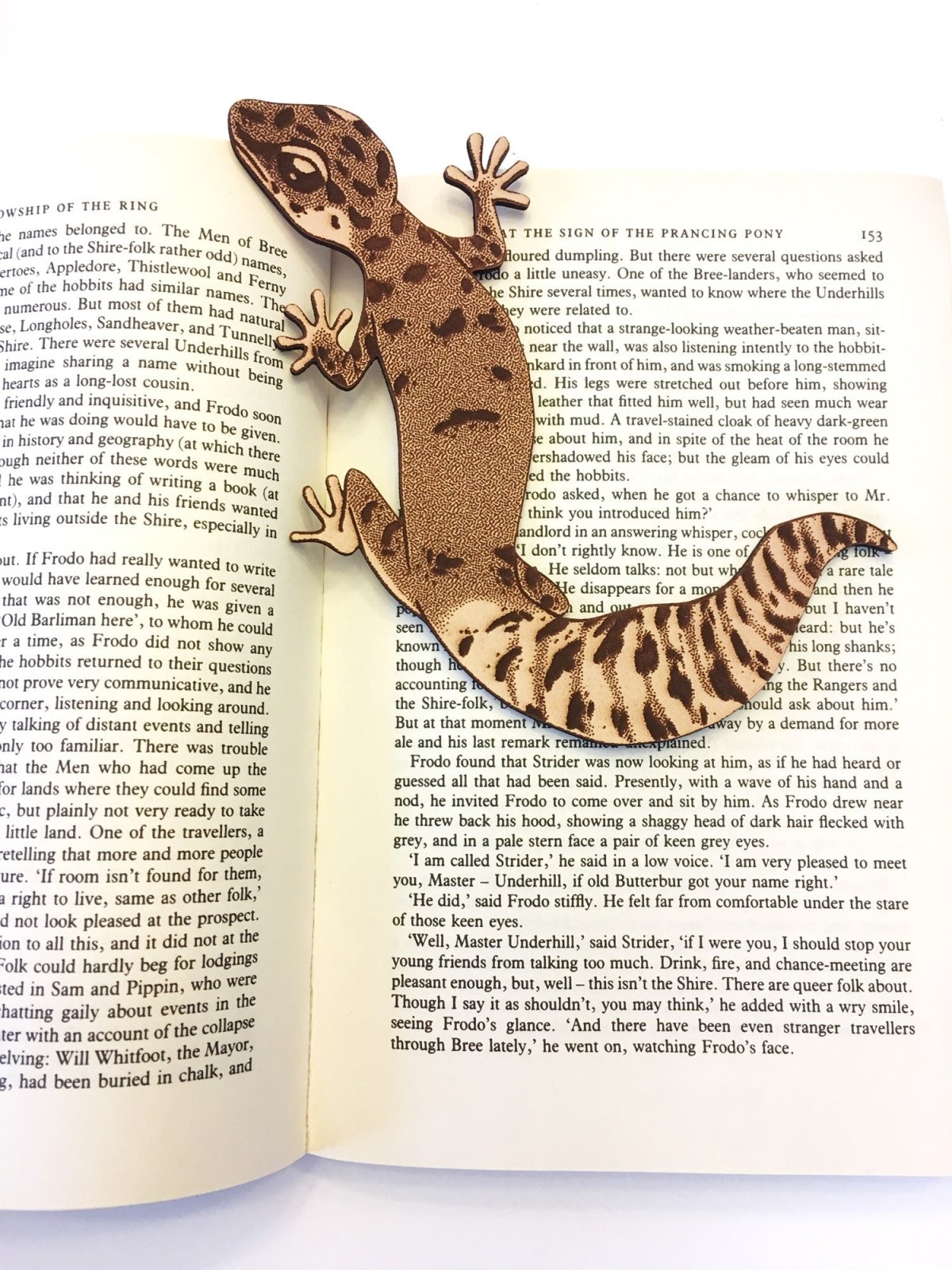 The gecko bookmark sitting on an open book.