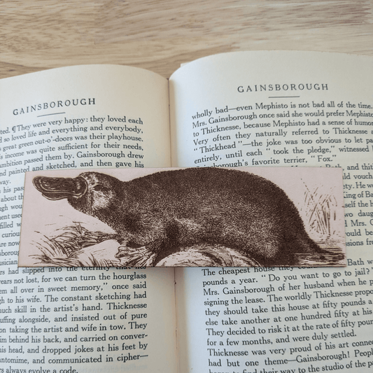 A photograph of a leather bookmark engraved with the antique art of a platypus on it. The bookmark is resting on a book.