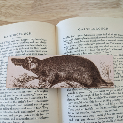 A photograph of a leather bookmark engraved with the antique art of a platypus on it. The bookmark is resting on the pages of an open book. 