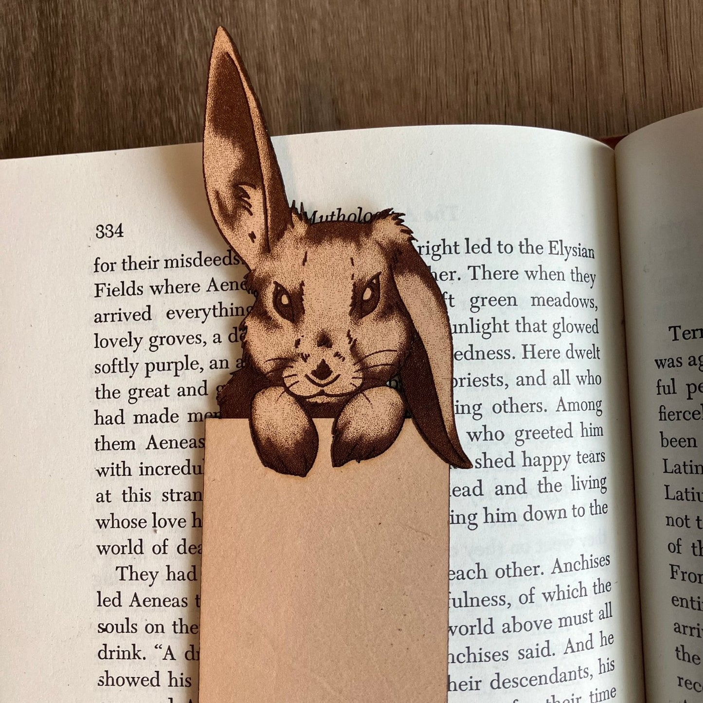 A photo of a bunny with one ear up and one down peeking over the top of the bookmark.