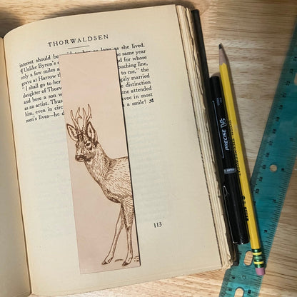 Roe Deer Bookmark - Leather Roe Deer Bookmark - Leather Bookmarks Raven King Crafts Roe Deer Bookmark - Leather Bookmarks Raven King Crafts